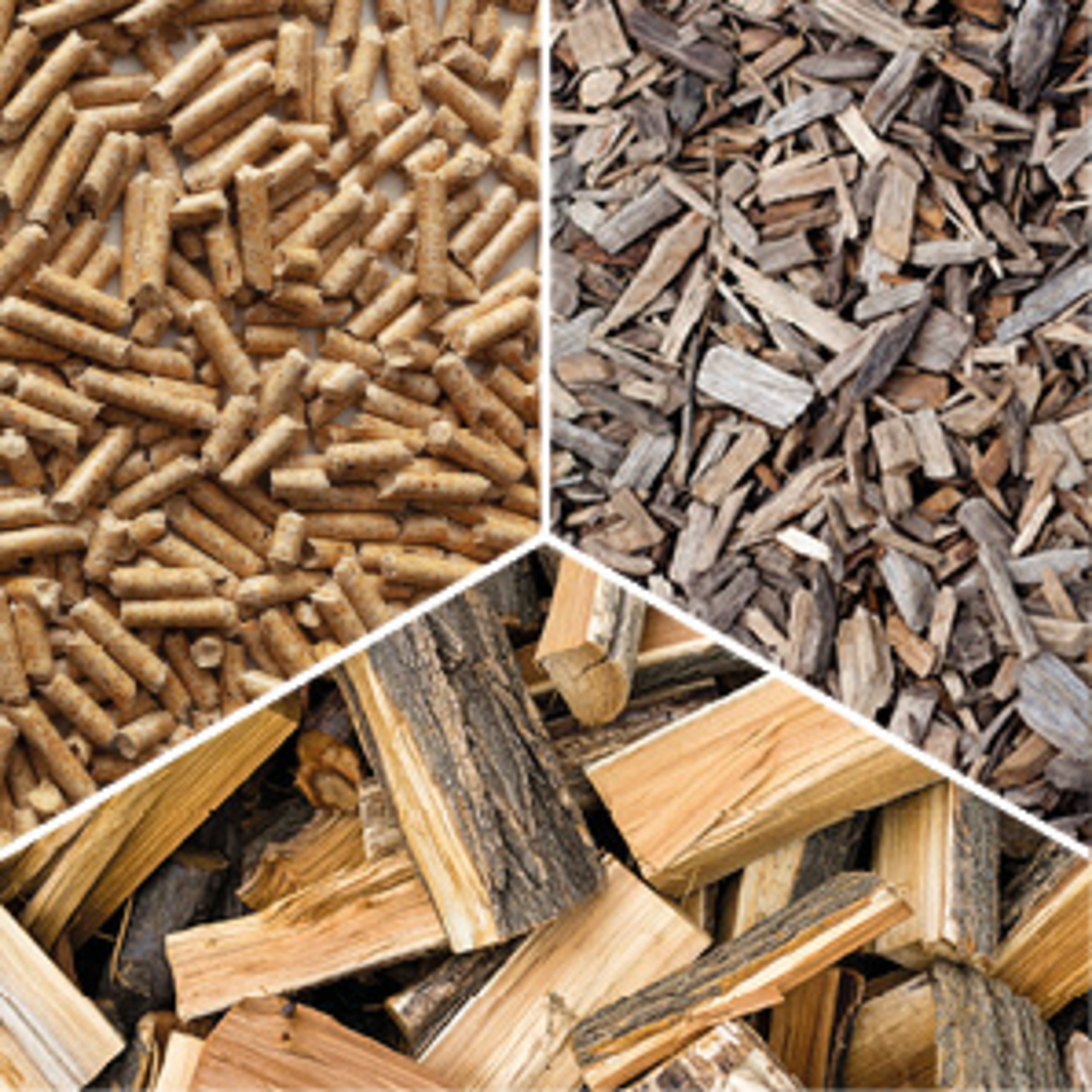 HSE-team Produkte Biomasseanlagen
